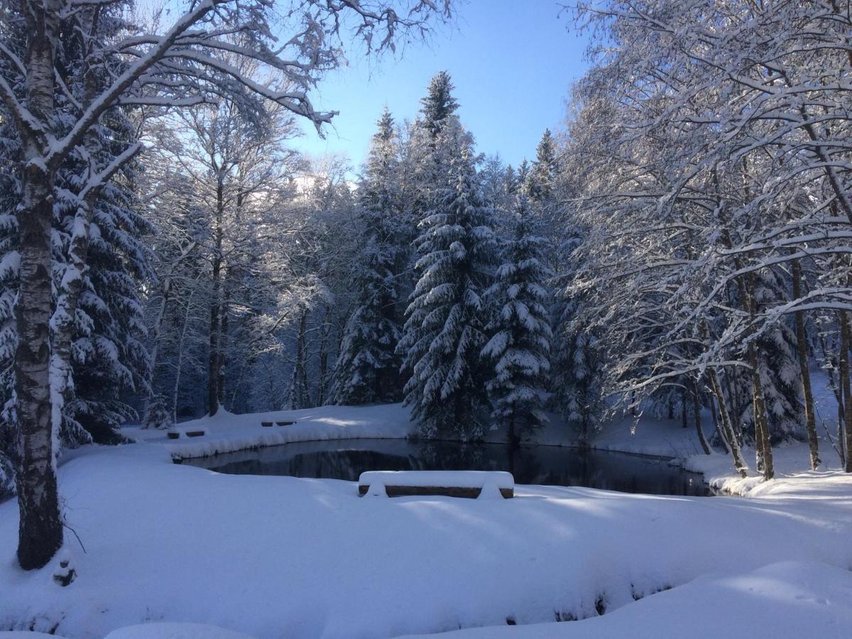 Chata Rozhlas Železná Ruda Exteriör bild